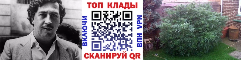Купить наркоту Вихоревка A-PVP Конопля COCAIN Амфетамин ГАШИШ МЕФ