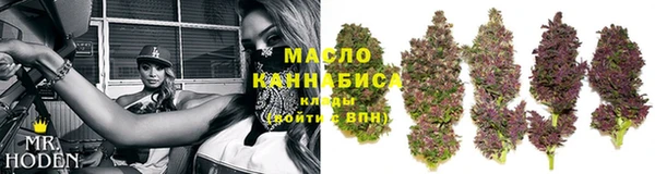 сатива Волоколамск