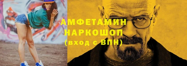 сатива Волоколамск