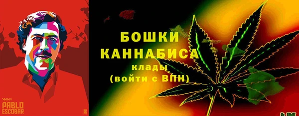 сатива Волоколамск