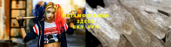сатива Волоколамск