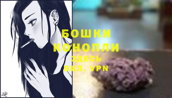 сатива Волоколамск