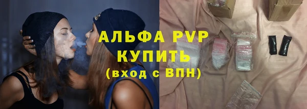 сатива Волоколамск