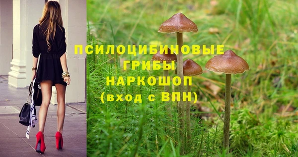 сатива Волосово
