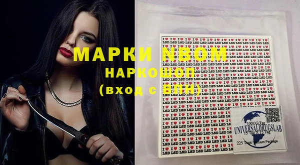 сатива Волосово