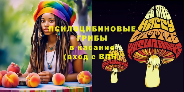 сатива Волосово