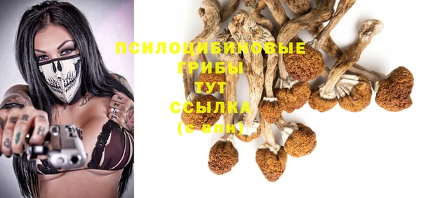 прущие грибы Сафоново
