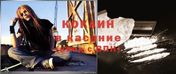 сатива Волосово