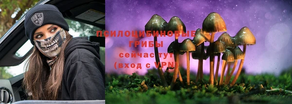 индика Саяногорск
